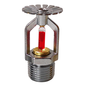 1674837356423518.jpg EH005.jpg